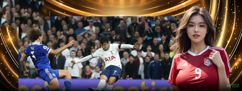 Dúvidas frequentes sobre apostas esportivas na br222